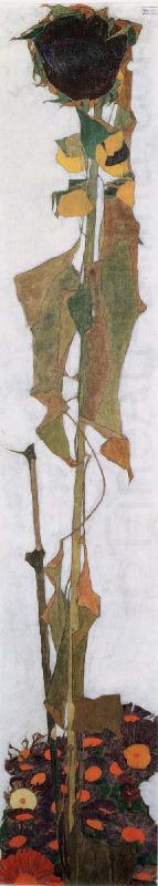 Egon Schiele Sunflower II china oil painting image